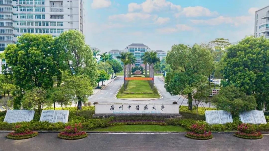 1731997778156 圖片5