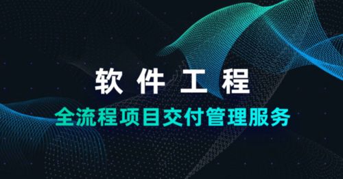 碼智護航 新第三方數字技術服務全面賦能政府數字化轉型